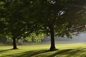 Meadowmount School of Music has been America’s most respected and beloved summer home for rising generations of violinists, violists, and cellists